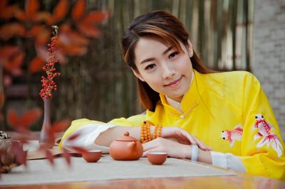 藏茶茶汤